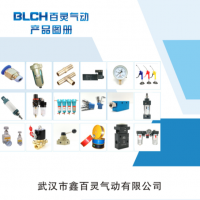 武漢百靈氣動(dòng)歡迎您！